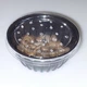 Аргентинские тараканы ( Blaptica Dubia ) - Живые кормовые насекомые для рептилий, птиц, ежей, гекконов, насекомоядных животных 0,5-1 см 50 шт - изображение 5