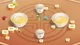 Ключ активации Ultra Foodmess Deluxe для Xbox One/Series S/X - изображение 2