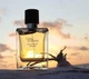 Парфюмированная вода для мужчин Hermes Terre D'Hermes Eau Intense Vetiver 100 мл (3346131431434/3346131430741) - изображение 3