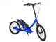 Степвинг Brizon Stepwing Titan 20" Blue - изображение 2