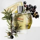 Тестер Парфюмированная вода для мужчин Hermes Terre D'Hermes Eau Givree 100 мл (3346130012276) - изображение 2