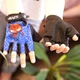 Рукавички велосипедні Sporty безпалі дитячі спортивні Spidey Blue L - зображення 8