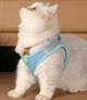 Шлейка анатомічна та повідець Kafuli Pet Collection для собак та кішок 3-15 кг XXS Блакитний - зображення 2
