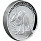 Срібна монета 1oz Кенгуру 1 долар 2011 Австралія (пруф) - зображення 3
