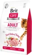 Сухий корм Brit Care Cat GF Adult Activity Suppor для активних улюбленців з куркою та індичкою 2 кг (171298) - зображення 1