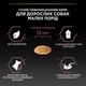 Сухий корм Purina PRO PLAN Small&Mini Adult 1+ Sensitive Skin для дорослих собак дрібних порід з чутливою шкірою, з лососем 700 г - изображение 4