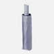 Зонт складной полный автомат Laras C10GD02179gr Серый (ROZ6501011503) - изображение 4