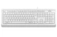 Клавиатура A4Tech FK10 White USB - изображение 3