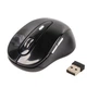 Мышь беспроводная Gembird MUSW-6B-01 Black USB - изображение 1