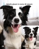 Комнатная камера видеонаблюдения для собак Blurams Pet Camera 2K Белый - изображение 5