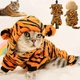Толстовка для собак и кошек "TIGER" Size S - изображение 2
