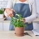 Ножиці кухонні 2шт. 15 і 21см IKEA SVÄRDFISK 605.634.31 - изображение 4