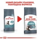 Сухий корм для котів Royal Canin Hairball Care 400 г (3182550721394) (2534004) - зображення 2