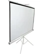 Проекційний екран Elite Screens T119NWS1 - зображення 2