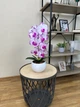 Композиция из бело-сиреневых искусственных орхидей Premium на 1 веточку в белом керамическом кашпо, А029 - изображение 2