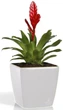 Вазон Plastkon Quadrato Flower Lover 18x18x17 см Белый (4820002386539) - изображение 2