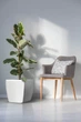 Вазон Plastkon Quadrato Flower Lover 25x25x24см белый - изображение 4
