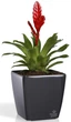 Вазон Plastkon Quadrato Flower Lover 34x34x32 см Антрацит (4820002386607) - изображение 3