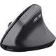 Мышка Trust Bayo 2 Ergonomic Wireless/USB-A Black (25145) - изображение 1