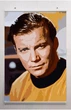 Постер плакат BEGEMOT Поп-Арт капитан Кирк Стартрек Star Trek 40x61 см (1121230) - изображение 2