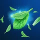 Зубная нить Oral-B Essential Мятная 50 м (5010622005029/3014260280772) - изображение 7