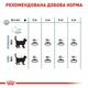 Сухий корм для котів Royal Canin Hairball Care 10 кг - изображение 6