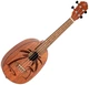 Укулеле Ortega Bonfire RUPA5MM Concert Ukulele Sapele Natural (R125111) - изображение 1