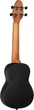 Укулеле Ortega Keiki Pack Super Scale K2SS-RKC Sopano Ukulele Agathis Red Kaleidoscope комплект (R127672) - изображение 7