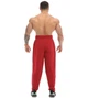 Штаны спортивные легкие Big Sam 1358 красные, размер XXL - изображение 3