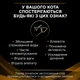 Вологий дієтичний корм PRO PLAN VETERINARY DIETS NF Renal Function Advanced Care для дорослих котів при патології нирок з лососем - изображение 7