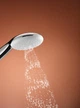 Ручная лейка для душа GROHE Tempesta 110 28419003 - изображение 8
