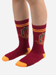 Набір дитячих шкарпеток 3 пари Distrineo Harry Potter - Gryffindor socks One size Червоний (4895205602700) - зображення 3