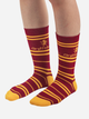 Zestaw skarpet dziecięcych 3 pary Distrineo Harry Potter - Gryffindor socks One size Czerwony (4895205602700) - obraz 5