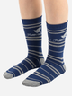 Zestaw skarpet dziecięcych 3 pary Distrineo Harry Potter - Ravenclaw socks One size Niebieski (4895205602724) - obraz 5