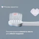 Зубная щетка Chicco First Milk Teeth для первых зубов 6-36 месяцев Голубая (12081.11) - изображение 4