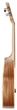 Укулеле Prima M320T Tenor Ukulele Solid Spruce/Zebrawood (R125235) - зображення 3