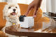 Компактна HD-камера Petcube Cam 360 (P36010US) - зображення 6