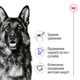 Сухий корм для собак великих порід старше 5 років Royal Canin Maxi Adult, 15 кг - зображення 6