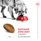 Сухой корм для собак крупных пород Royal Canin Maxi Adult, 4 кг - изображение 5