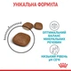 Сухой корм для кошек профилактика мочекаменной болезни Royal Canin Urinary Care , 2 кг - изображение 5