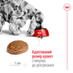 Сухой корм для собак средних пород старше 7 лет Royal Canin Medium Adult 7+ , 4 кг - изображение 4