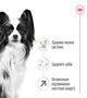 Сухой корм для собак Royal Canin X-Small Adult для миниатюрных пород, 3 кг - изображение 6