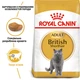 Сухой корм для взрослых кошекRoyal Canin Adult British Shorthair породы Британская короткошерстная, 2 кг - изображение 2