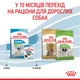 Сухой корм для щенков миниатюрных пород Royal Canin X-Small Puppy , 3 кг - изображение 6