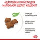 Сухой корм для стерилизованных котят Royal Canin Kitten Sterilised , 400 г - изображение 5
