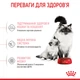 Сухой корм для кошек в период беременности, лактации и для котят Royal Canin Mother and Babycat, 400 г - изображение 7