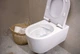 Унитаз подвесной HANSGROHE EluPura S 60193450 Rimless с сиденьем Soft Close 60148450 дюропласт - изображение 2