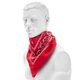 Бандана бавовняна Sturm Mil-Tec Western Bandana Червоний (12620010) - изображение 2