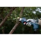 Секатор акумуляторний Bosch Pro Pruner, 12В, 2х3Аг, d різу 25мм, 1000гр (0.601.9K1.021) - изображение 2