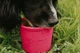 Миска медленного кормления собак LickiMat Yoggie Pot Pink (LM5301PK-DR) - изображение 6